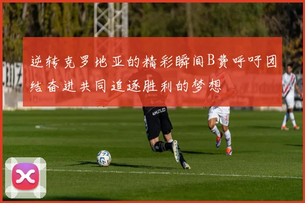 逆转克罗地亚的精彩瞬间B费呼吁团结奋进共同追逐胜利的梦想